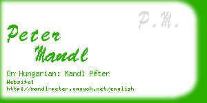 peter mandl business card